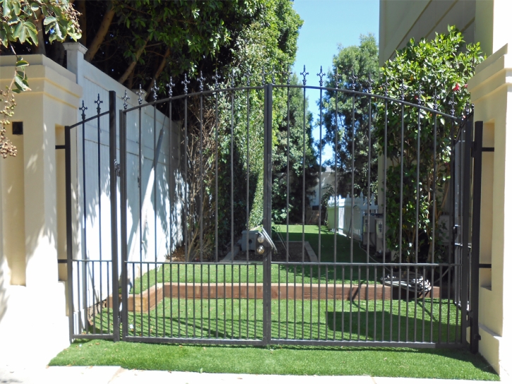 Fake Grass Carpet Cherry Valley, California Design Ideas, Front Yard Landscaping