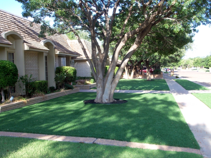 Fake Grass Carpet Corona, California Design Ideas, Front Yard