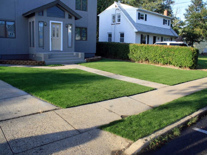 Fake Grass Carpet East Blythe, California Lawn And Garden, Front Yard Ideas