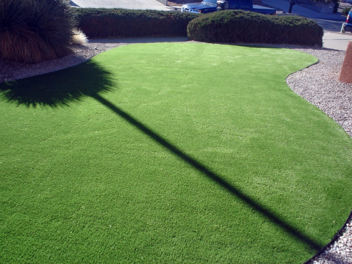 Fake Grass Carpet Mira Loma, California Rooftop, Front Yard Ideas