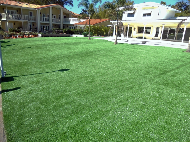 Fake Grass Carpet Winchester, California Gardeners, Above Ground Swimming Pool