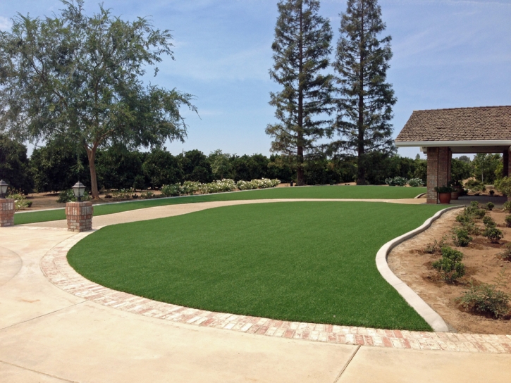 Fake Grass East Blythe, California Landscaping Business, Front Yard