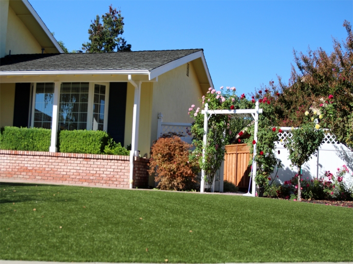 Fake Grass East Hemet, California Rooftop, Small Front Yard Landscaping