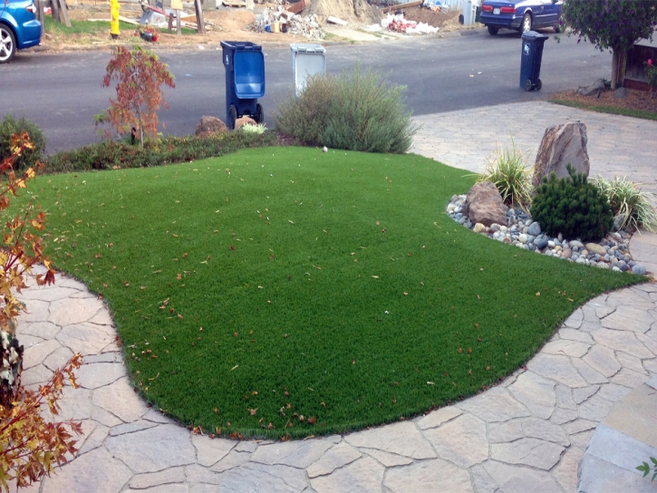 Fake Grass Good Hope, California Garden Ideas