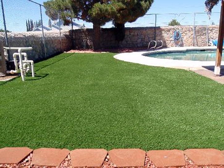 Fake Grass Mountain Center, California Landscaping, Kids Swimming Pools