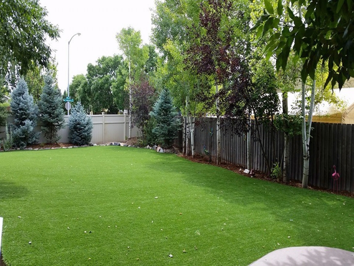 Fake Grass Mountain Center, California Design Ideas, Backyard Landscaping