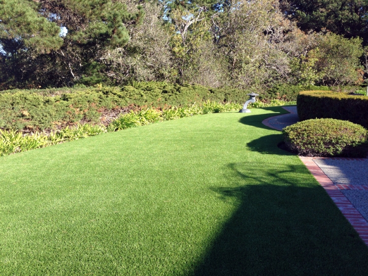 Fake Grass Ripley, California Backyard Deck Ideas, Front Yard