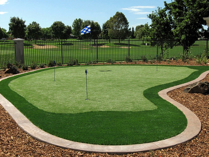 Fake Grass Vista Santa Rosa, California Putting Green Carpet, Backyard Design