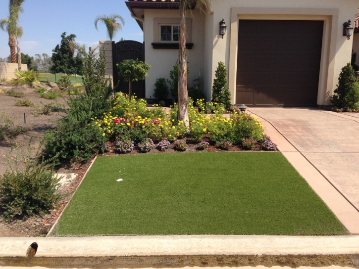 Fake Grass Woodcrest, California Landscaping Business, Small Front Yard Landscaping