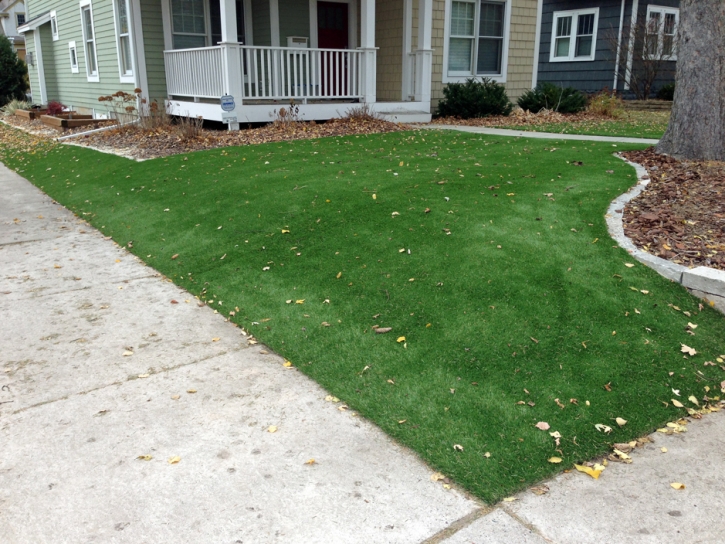 Fake Lawn Anza, California Roof Top, Front Yard Landscaping Ideas