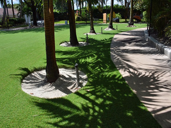 Fake Lawn East Blythe, California Home And Garden, Commercial Landscape