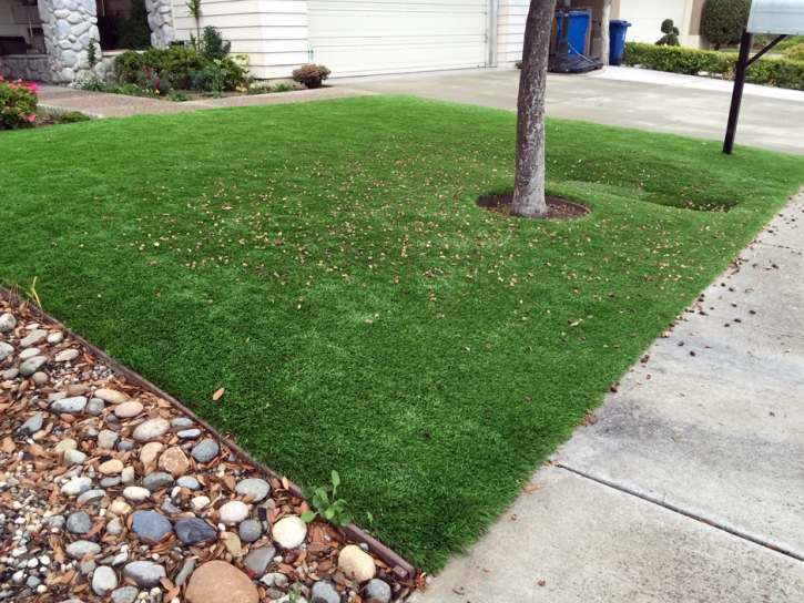 Fake Lawn Highgrove, California Landscape Ideas, Front Yard Landscaping