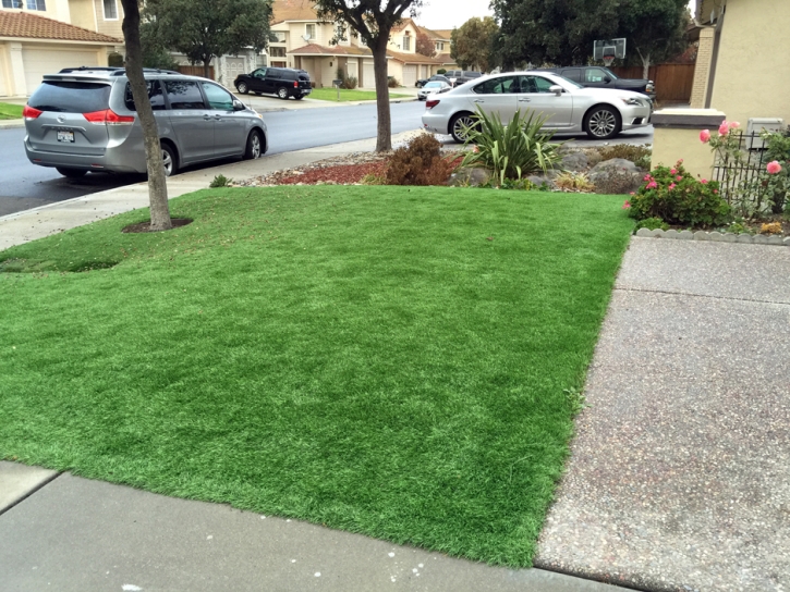 Fake Lawn Home Gardens, California Lawn And Landscape, Front Yard Design