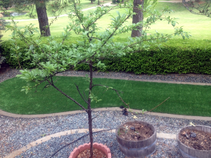 Fake Lawn Murrieta, California Paver Patio, Small Front Yard Landscaping