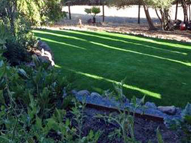 Fake Lawn Palm Desert, California Design Ideas, Backyard Designs