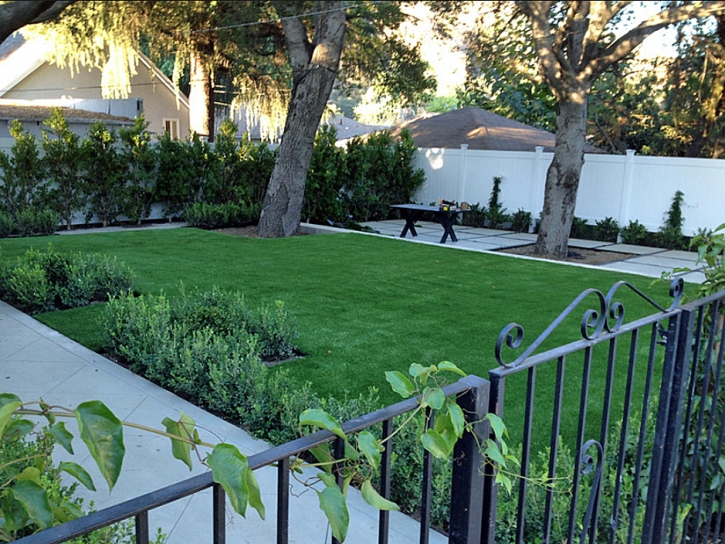 Fake Lawn Pedley, California Home And Garden, Landscaping Ideas For Front Yard