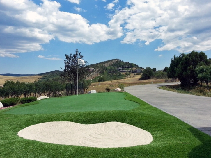 Fake Lawn Vista Santa Rosa, California Lawn And Garden, Front Yard Landscape Ideas