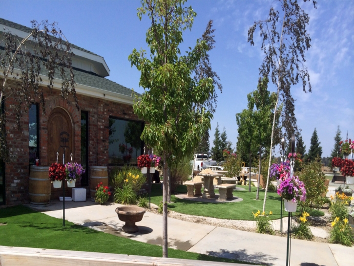 Fake Turf Good Hope, California City Landscape, Commercial Landscape