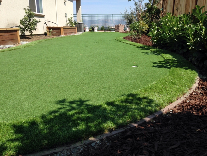 Fake Turf Home Gardens, California Landscaping, Backyard Designs