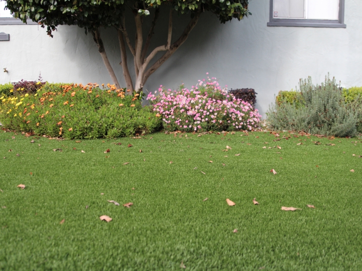 Fake Turf Idyllwild-Pine Cove, California Rooftop, Front Yard