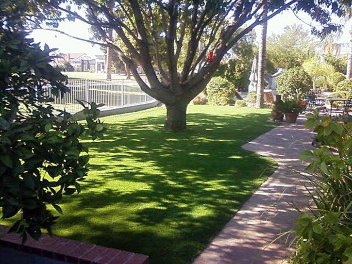 Fake Turf Lake Elsinore, California Backyard Playground