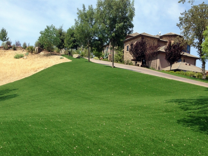 Fake Turf Lakeview, California Landscape Design, Small Front Yard Landscaping