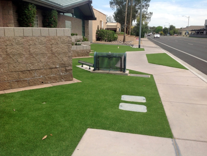 Fake Turf Lakeview, California Landscape Design, Front Yard Landscaping Ideas