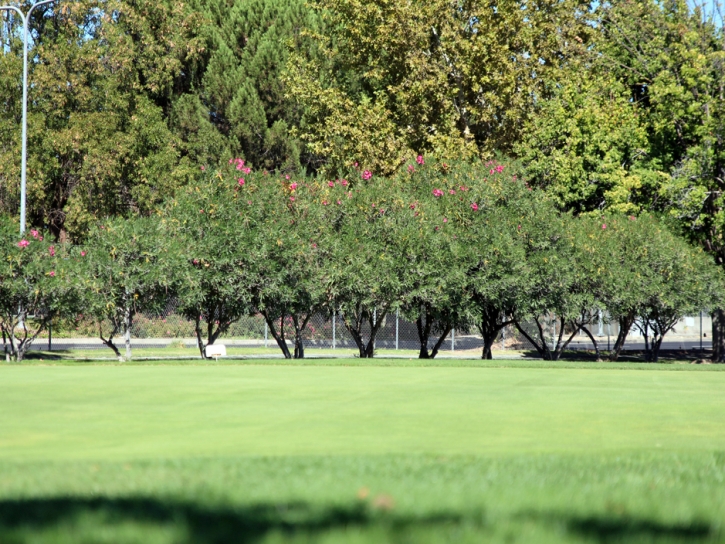 Fake Turf Palm Springs, California City Landscape