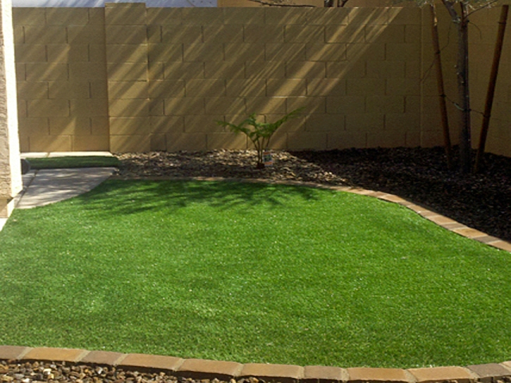 Fake Turf Palm Springs, California Landscaping, Small Backyard Ideas