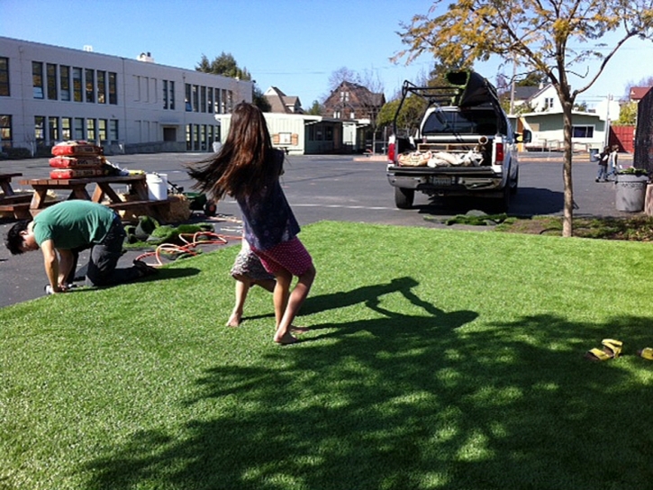 Fake Turf Sun City, California Landscaping, Commercial Landscape