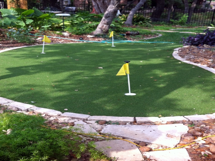 Fake Turf Winchester, California Landscape Design, Backyard Landscaping