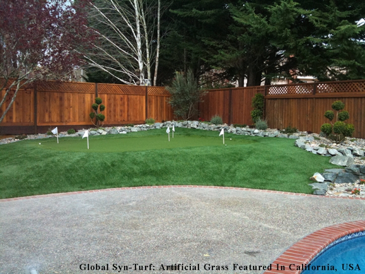 Faux Grass Good Hope, California Landscape Ideas, Backyard Garden Ideas