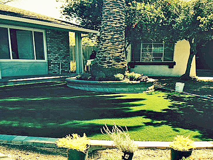 Faux Grass Green Acres, California Landscape Ideas, Small Front Yard Landscaping