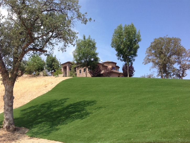 Faux Grass Lakeland Village, California Paver Patio, Front Yard Ideas