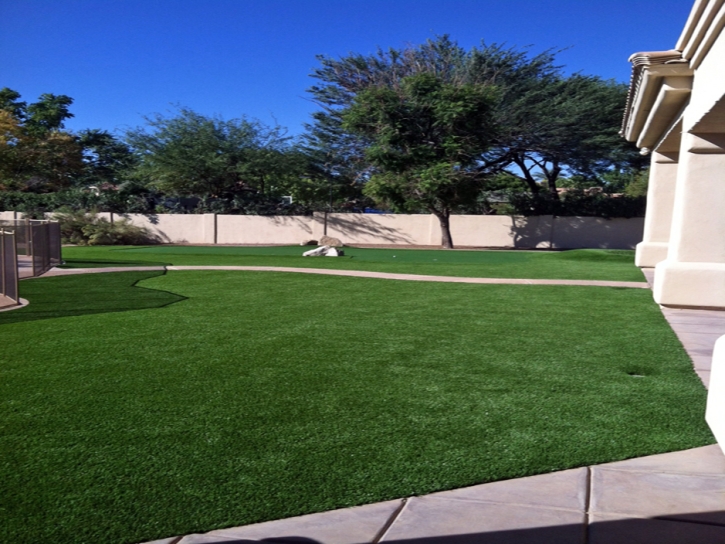 Faux Grass Mesa Verde, California City Landscape, Front Yard Design