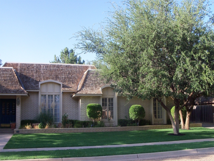 Faux Grass Mira Loma, California Home And Garden, Front Yard Landscape Ideas