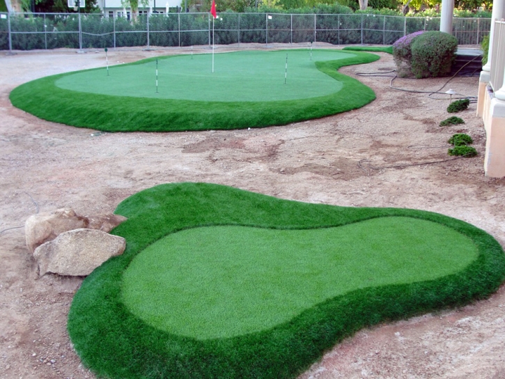 Faux Grass Norco, California Diy Putting Green, Front Yard Ideas