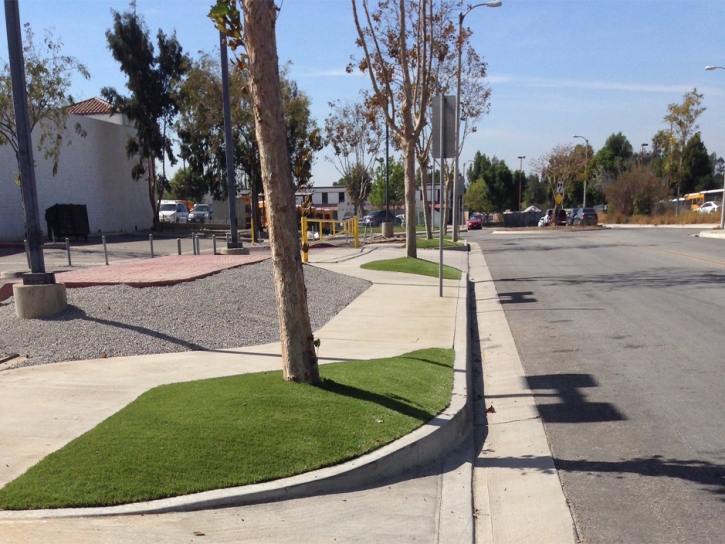 Faux Grass Ripley, California Landscape Photos, Commercial Landscape