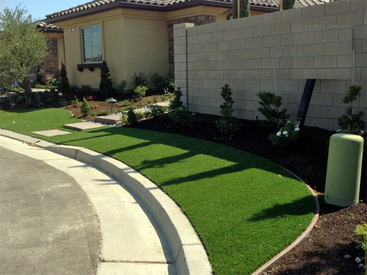 Faux Grass Sunnyslope, California Lawn And Landscape, Front Yard Landscaping Ideas