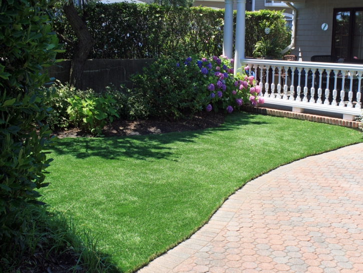 Faux Grass Thousand Palms, California Landscape Ideas, Front Yard Design