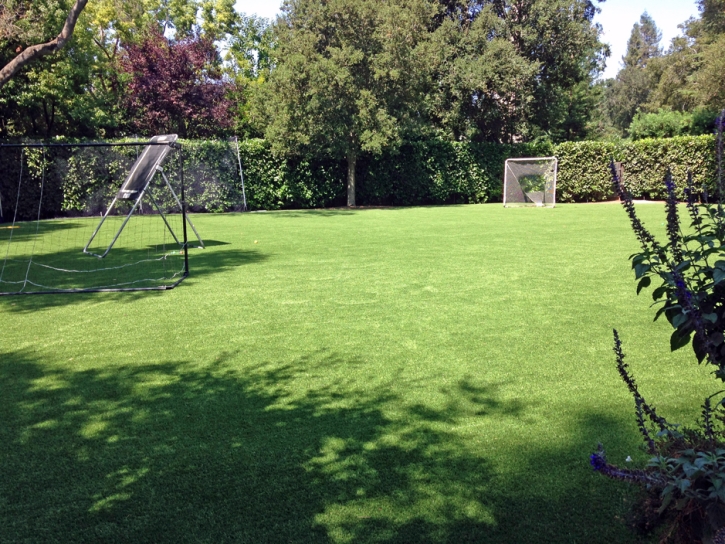 Grass Carpet Aguanga, California Red Turf, Backyards