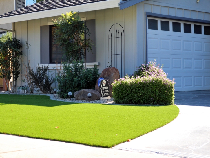 Grass Carpet Coachella, California Home And Garden, Front Yard Design