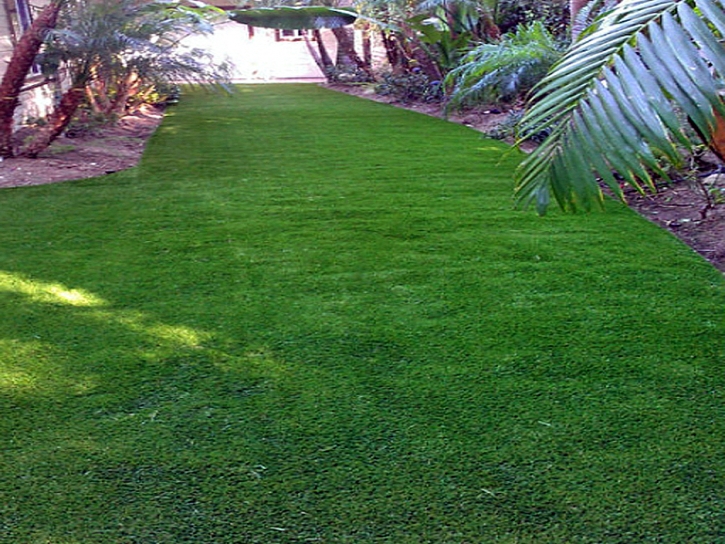 Grass Carpet El Cerrito, California Garden Ideas, Backyard