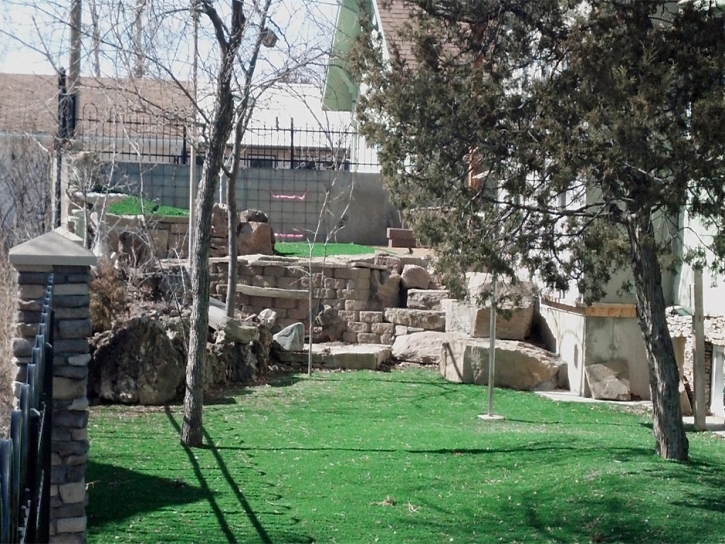 Grass Carpet El Cerrito, California Backyard Playground, Beautiful Backyards