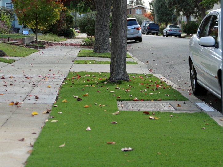 Grass Carpet Indian Wells, California Roof Top, Front Yard Landscaping