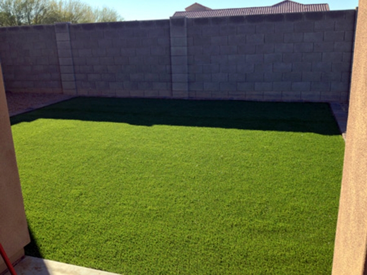 Grass Carpet Lake Elsinore, California Landscape Rock, Backyard Landscape Ideas