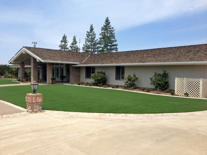 Grass Carpet Nuevo, California City Landscape, Small Front Yard Landscaping