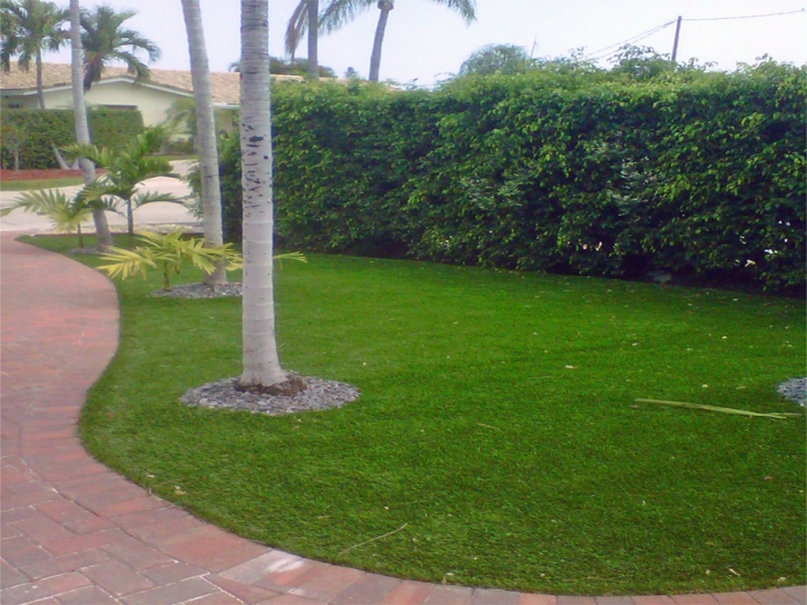 Grass Installation Blythe, California Home And Garden, Small Front Yard Landscaping