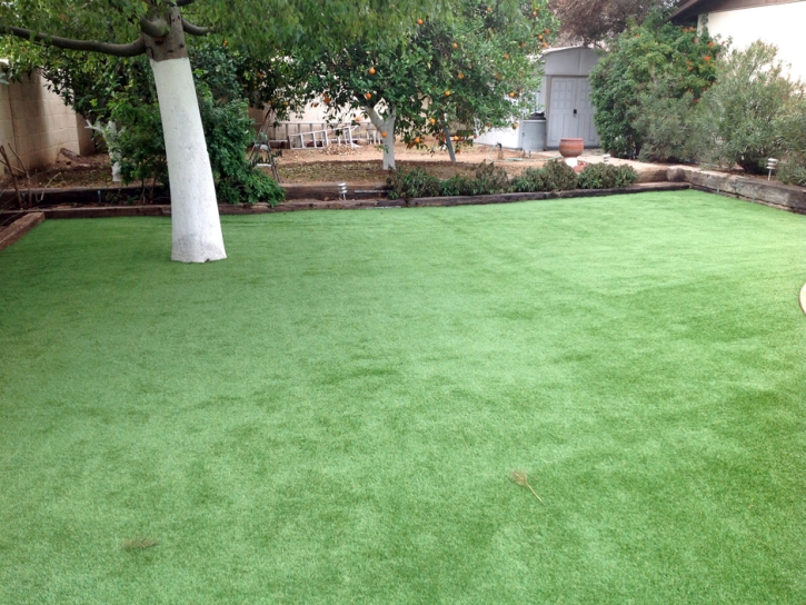 Grass Installation Nuevo, California Lawns, Backyard Garden Ideas