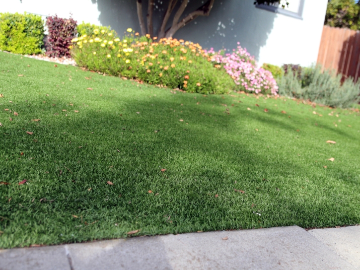 Grass Turf Banning, California Lawn And Garden, Front Yard Ideas